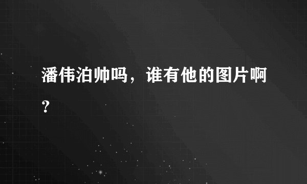 潘伟泊帅吗，谁有他的图片啊？
