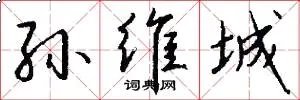 孙维城
