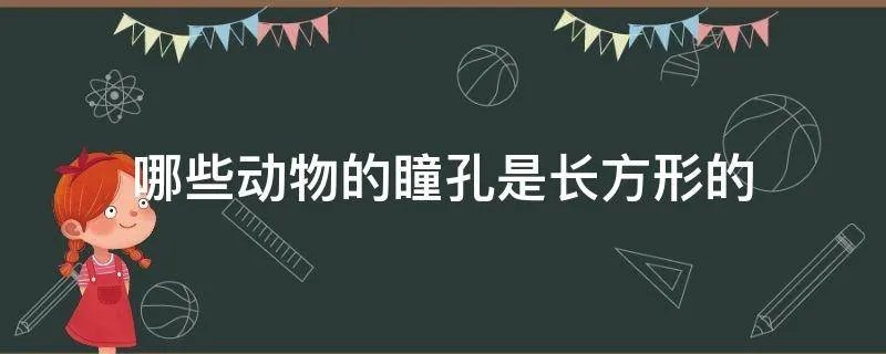 哪些动物的瞳孔是长方形的