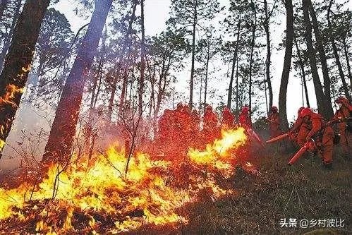 西昌山火为什么会死这么多人？