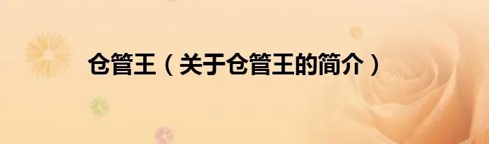 仓管王（关于仓管王的简介）