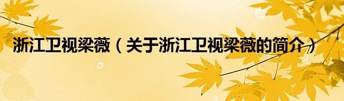 浙江卫视梁薇（关于浙江卫视梁薇的简介）