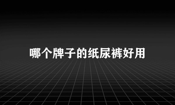 哪个牌子的纸尿裤好用