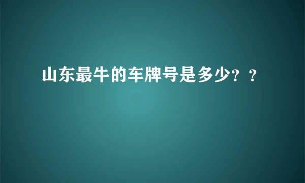 山东最牛的车牌号是多少？？