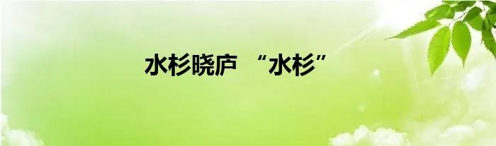 水杉晓庐 “水杉”