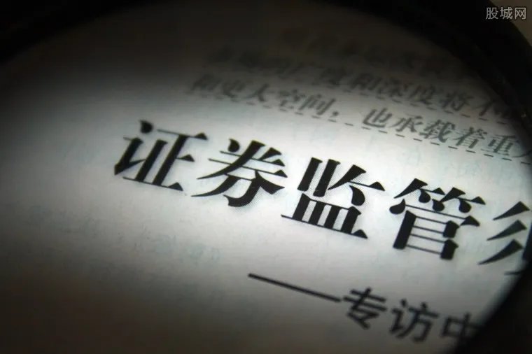 庞大集团遭处罚 还引来上交所的“关注”