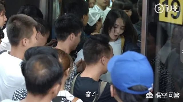 郑爽新剧《青春斗》已经定档,这部新剧都有哪些看点呢?