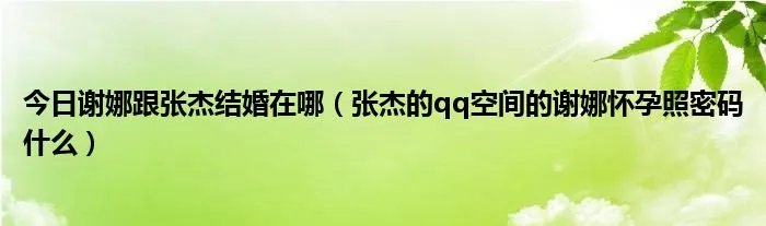 今日谢娜跟张杰结婚在哪（张杰的qq空间的谢娜怀孕照密码什么）