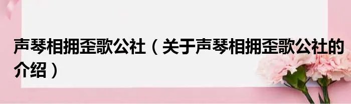 声琴相拥歪歌公社（关于声琴相拥歪歌公社的介绍）
