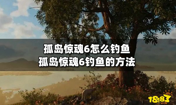 孤岛惊魂6怎么钓鱼 孤岛惊魂6钓鱼的方法
