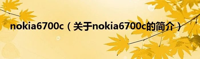 nokia6700c（关于nokia6700c的简介）