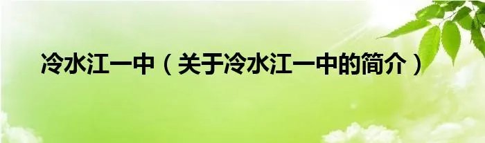 冷水江一中(关于冷水江一中的简介)