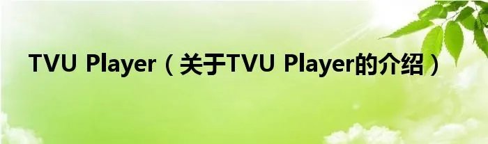 TVU Player（关于TVU Player的介绍）