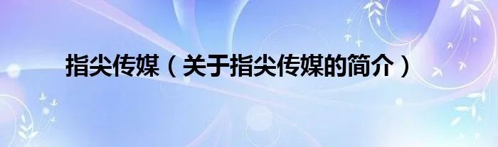 指尖传媒（关于指尖传媒的简介）