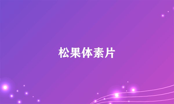 松果体素片