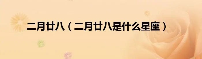 二月廿八（二月廿八是什么星座）