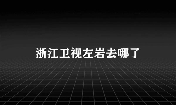 浙江卫视左岩去哪了