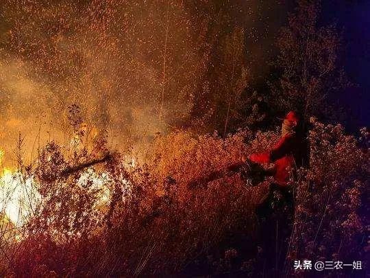 西昌山火为什么会死这么多人？