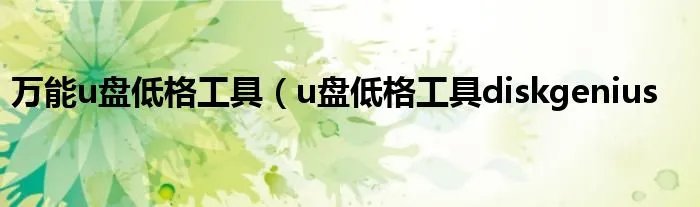 万能u盘低格工具（u盘低格工具diskgenius