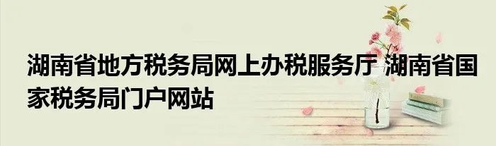 湖南省地方税务局网上办税服务厅 湖南省国家税务局门户网站
