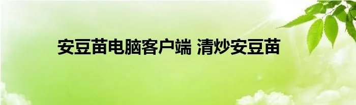 安豆苗电脑客户端 清炒安豆苗