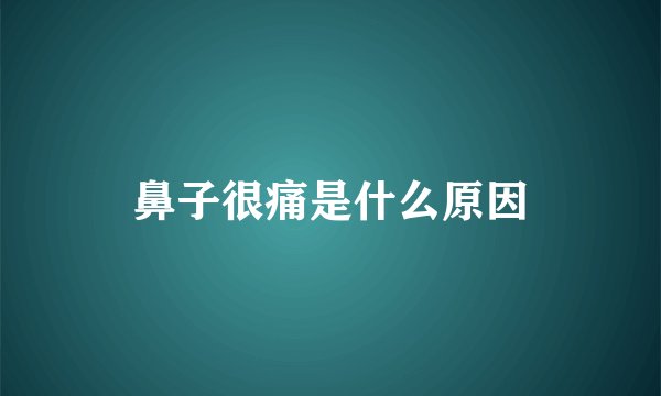鼻子很痛是什么原因