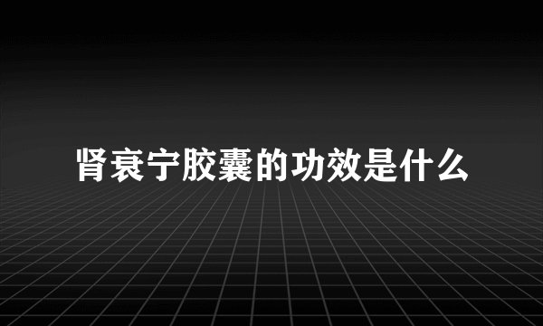 肾衰宁胶囊的功效是什么