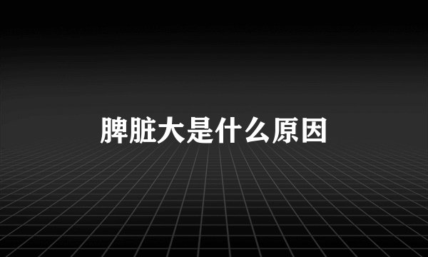 脾脏大是什么原因