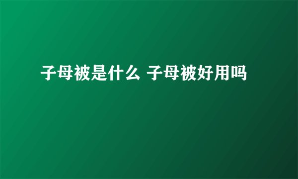 子母被是什么 子母被好用吗