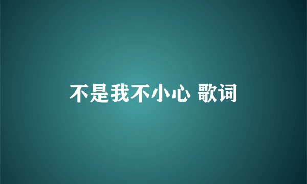 不是我不小心 歌词
