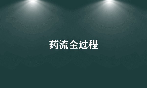 药流全过程