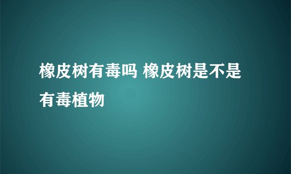 橡皮树有毒吗 橡皮树是不是有毒植物
