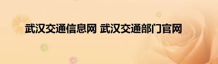 武汉交通信息网 武汉交通部门官网