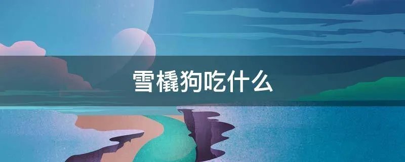 雪橇狗吃什么