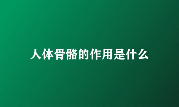 人体骨骼的作用是什么