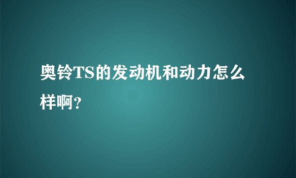 奥铃TS的发动机和动力怎么样啊?