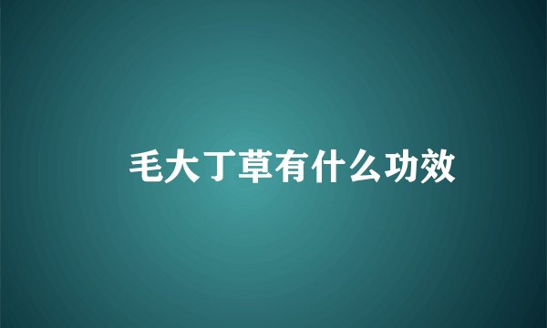 ​毛大丁草有什么功效
