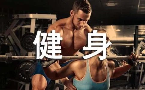 每日健身计划