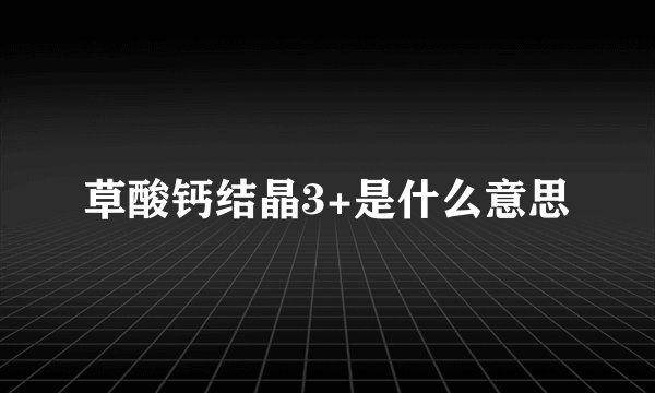 草酸钙结晶3+是什么意思
