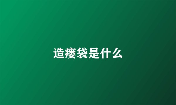 造瘘袋是什么