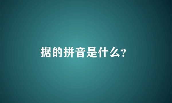 据的拼音是什么?
