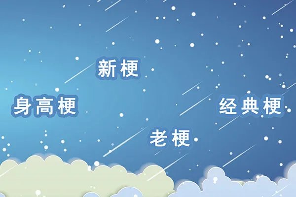 梗是什么意思