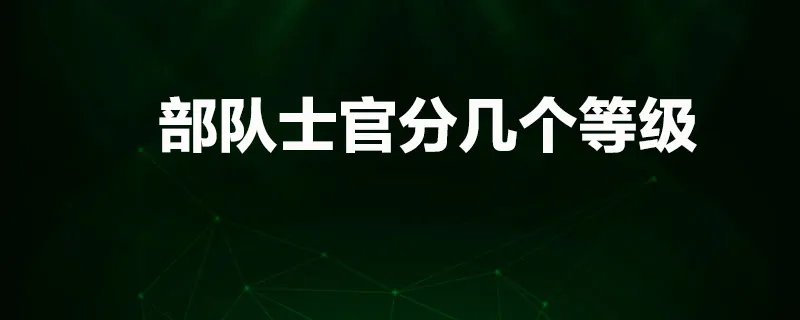 部队士官分几个等级