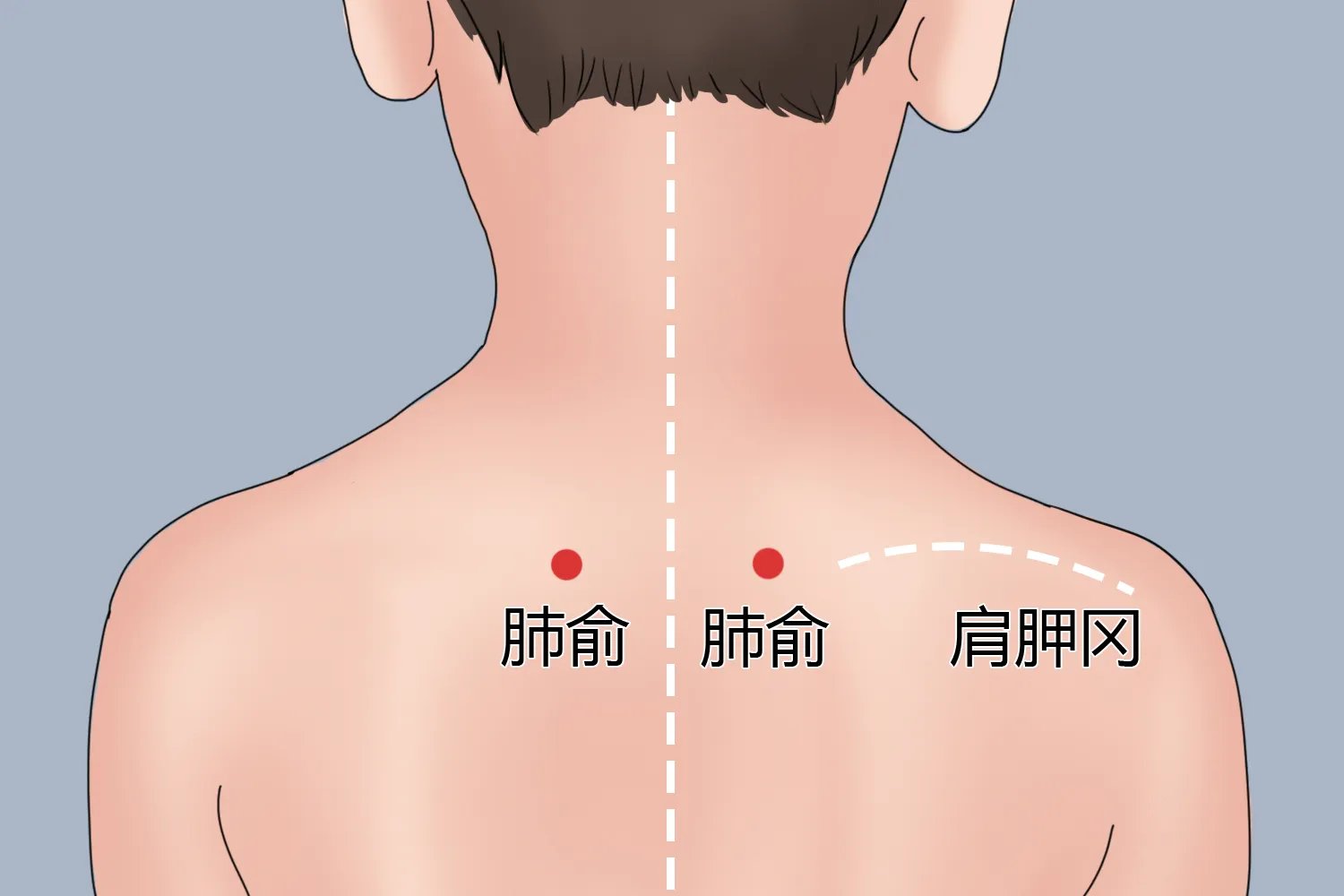 小儿大椎,膻中,肺俞准确位置图
