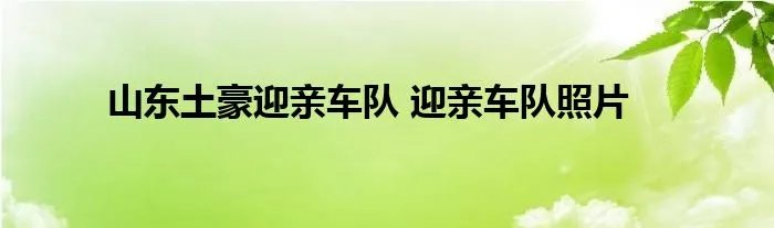 山东土豪迎亲车队 迎亲车队照片