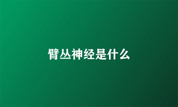 臂丛神经是什么