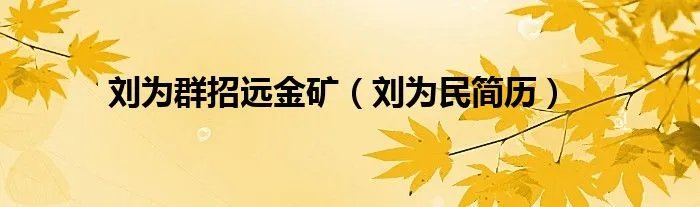 刘为群招远金矿（刘为民简历）