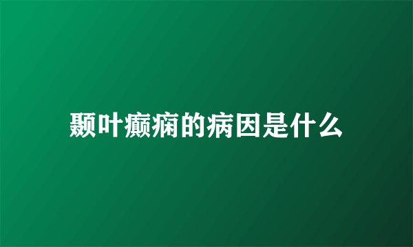 颞叶癫痫的病因是什么