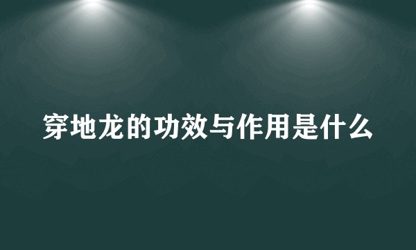 穿地龙的功效与作用是什么