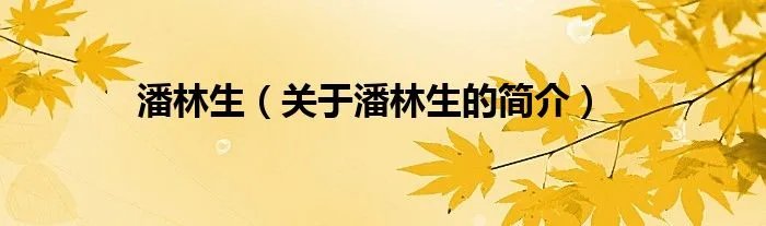 潘林生（关于潘林生的简介）